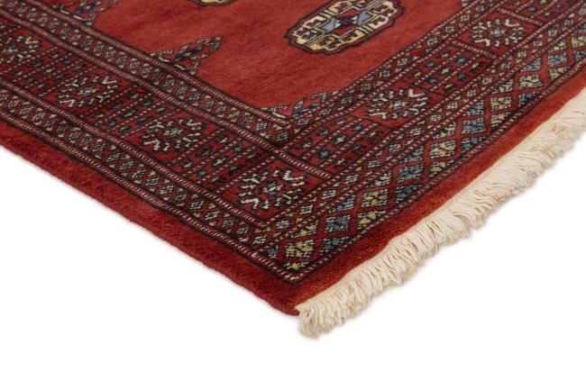 Pakistan Buchara 2ply - 3