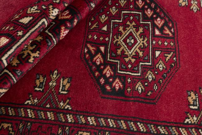 Pakistan Buchara 3ply - 2