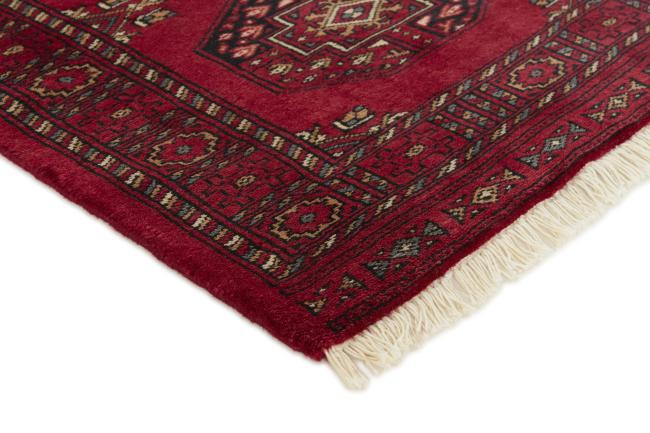 Pakistan Buchara 3ply - 3