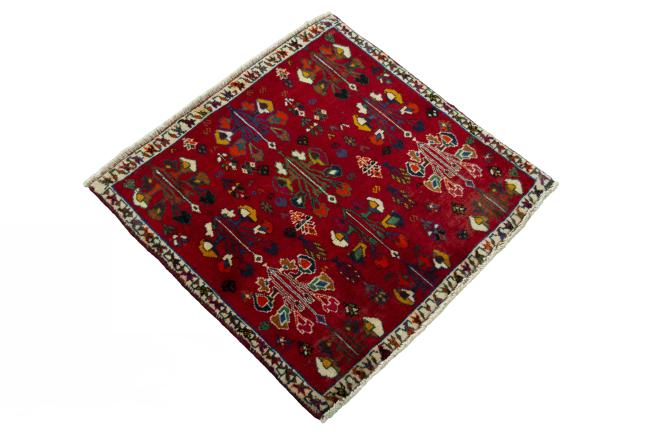 Shiraz - 2