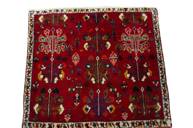 Shiraz - 3