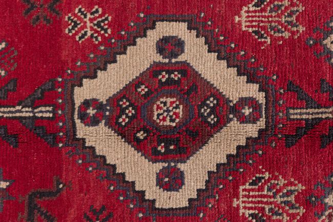Shiraz - 7