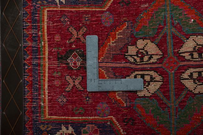 Shiraz - 4
