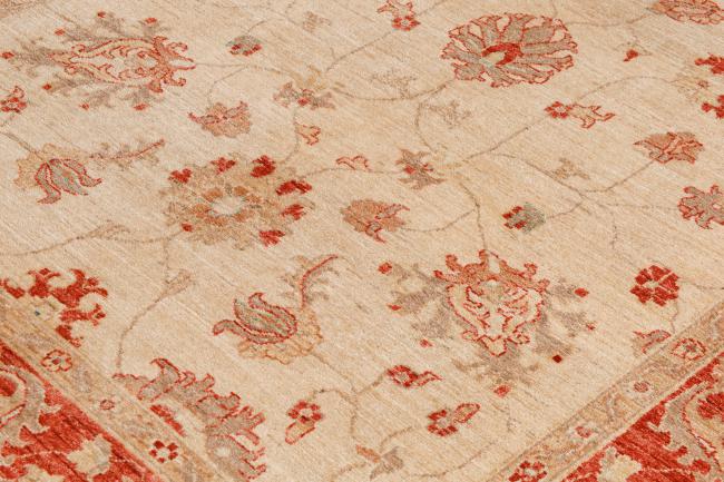 Ziegler Farahan - 4