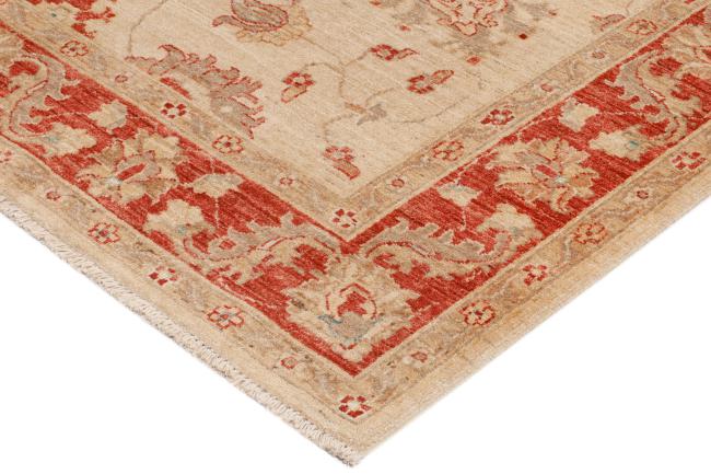 Ziegler Farahan - 5