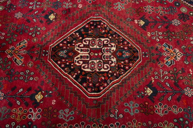 Shiraz - 5