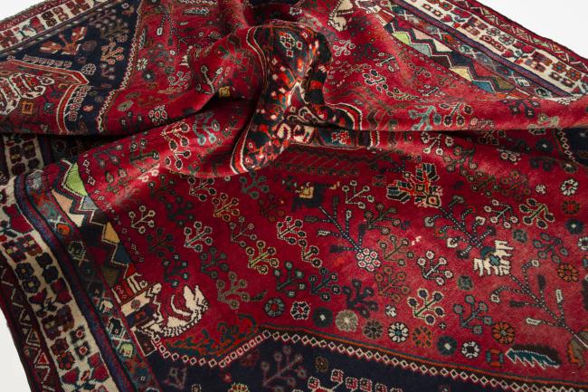 Shiraz - 9