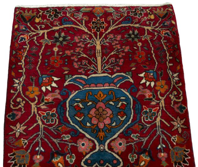 Shiraz - 3