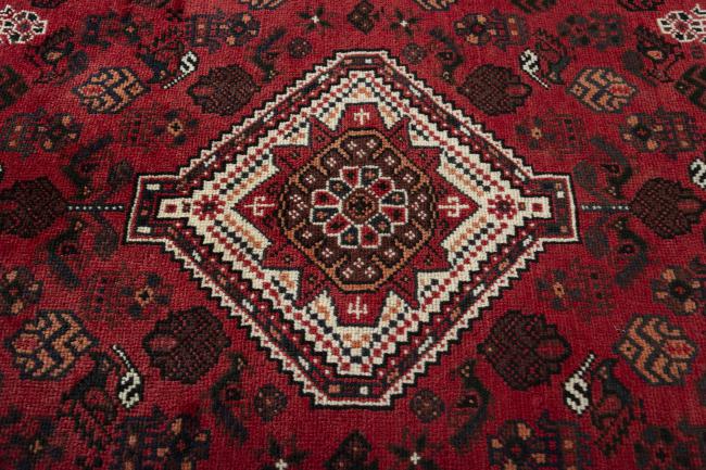 Shiraz - 5