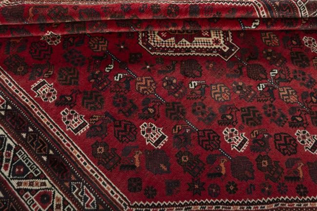 Shiraz - 8