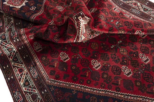 Shiraz - 9