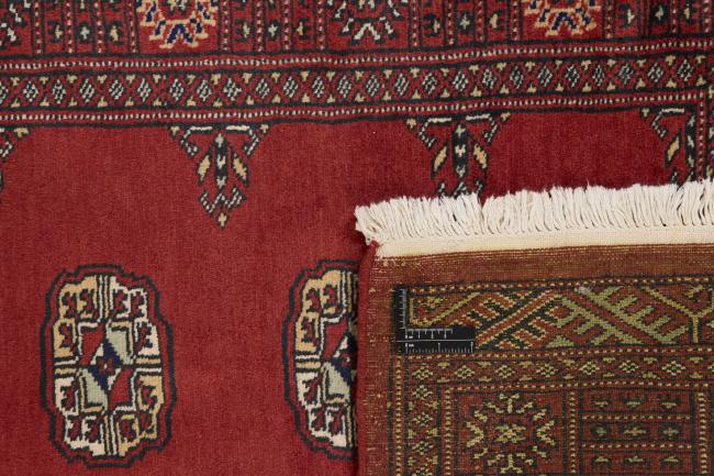 Pakistan Buchara 2ply - 1