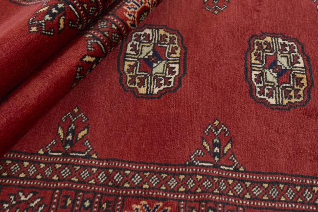 Pakistan Buchara 2ply - 2