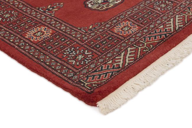 Pakistan Buchara 2ply - 3