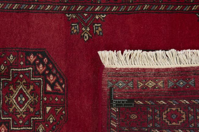 Pakistan Buchara 3ply - 1