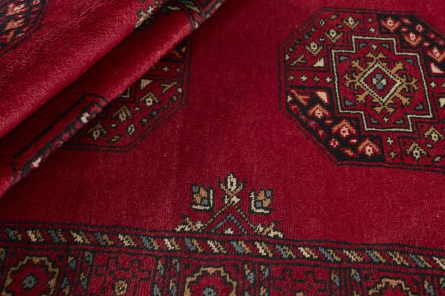 Pakistan Buchara 3ply - 2