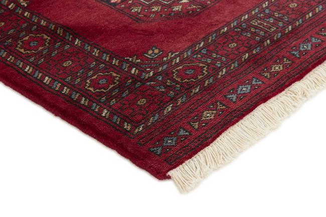 Pakistan Buchara 3ply - 3