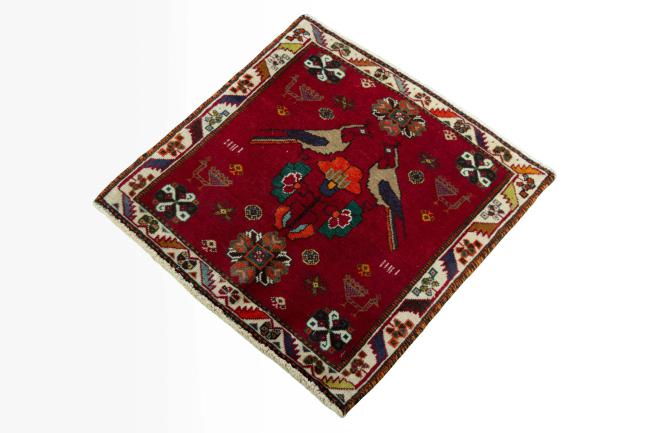 Shiraz - 1