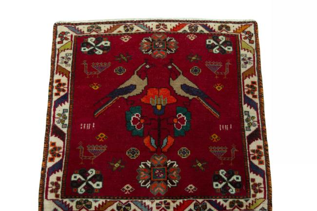 Shiraz - 3