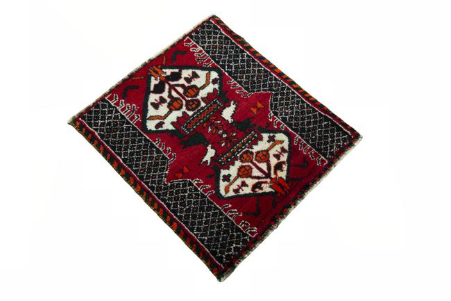 Shiraz - 2