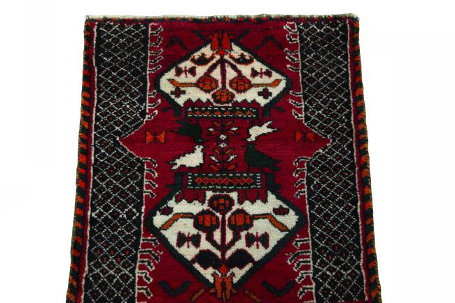 Shiraz - 3