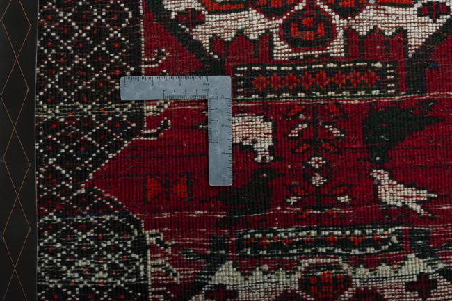 Shiraz - 4