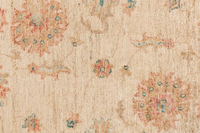 Ziegler Farahan - 6