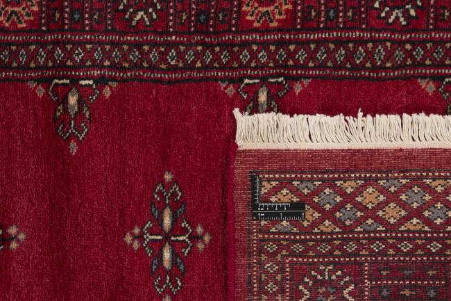 Pakistan Buchara 2ply - 1