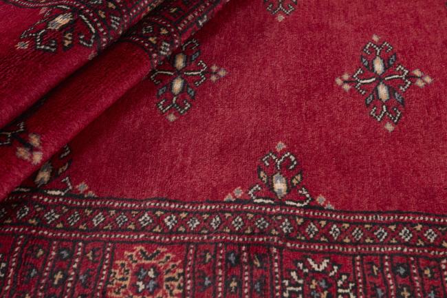 Pakistan Buchara 2ply - 2