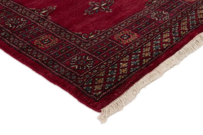 Pakistan Buchara 2ply - 3