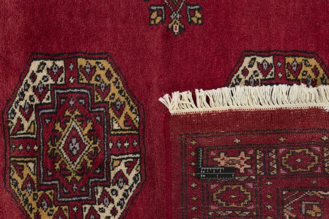 Pakistan Buchara 3ply - 1