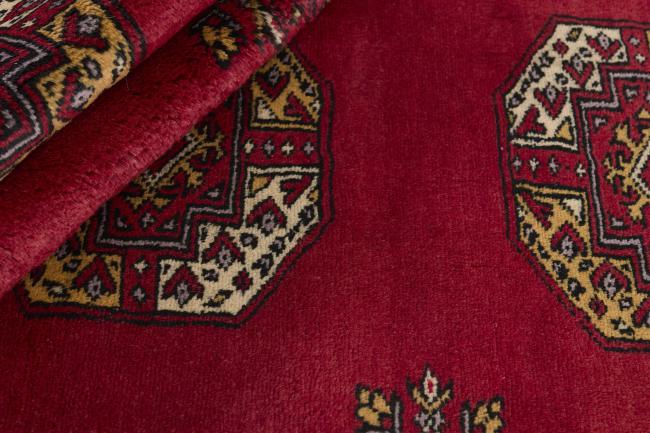 Pakistan Buchara 3ply - 2