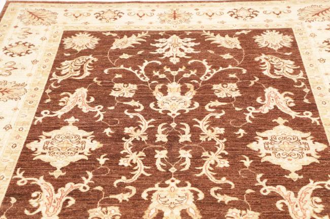 Ziegler Farahan - 7