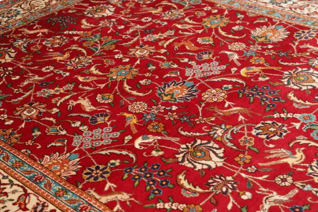 Tabriz - 6