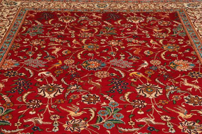 Tabriz - 7