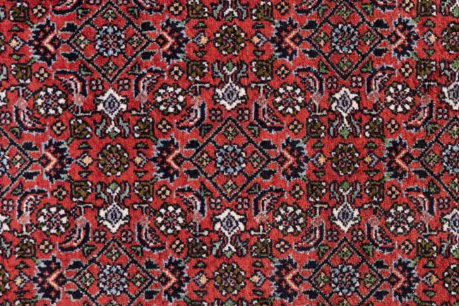 Bidjar - 6