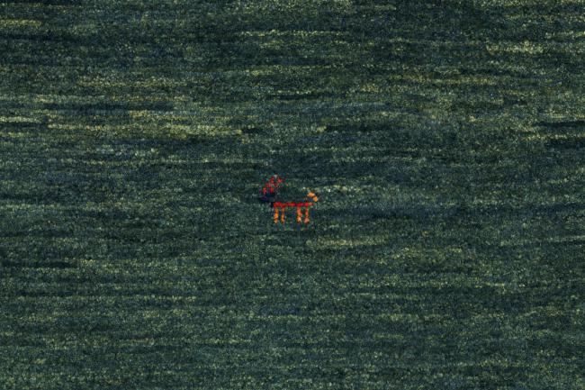 Persa Gabbeh Kashkuli Banafsheh - 6