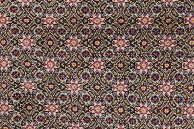 Moud - 7