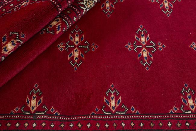 Pakistan Buchara 3ply - 2