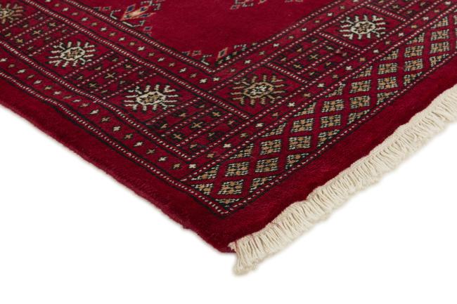 Pakistan Buchara 3ply - 3