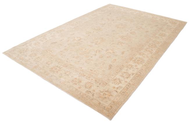 Ziegler Farahan - 2