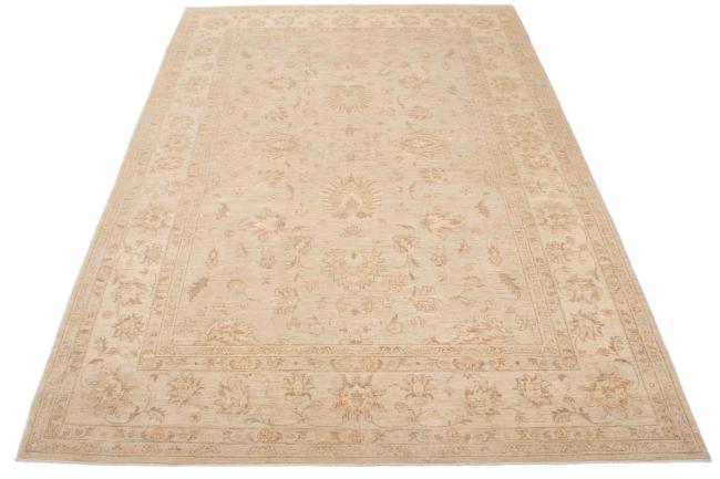 Ziegler Farahan - 3