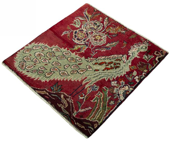 Shiraz - 1