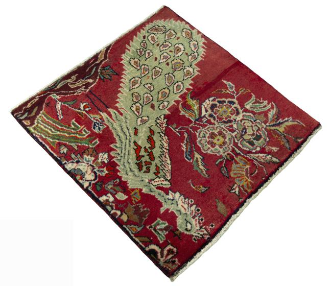 Shiraz - 2