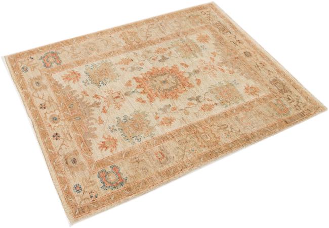 Ziegler Farahan - 2