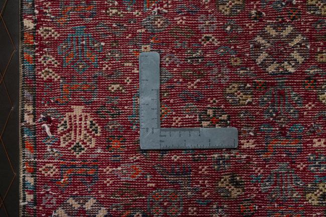 Shiraz - 4