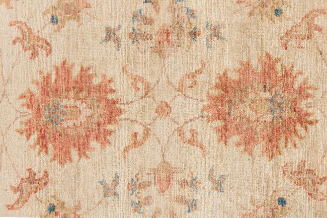 Ziegler Farahan - 6