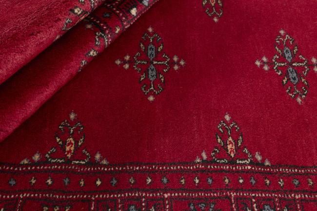 Pakistan Buchara 3ply - 2