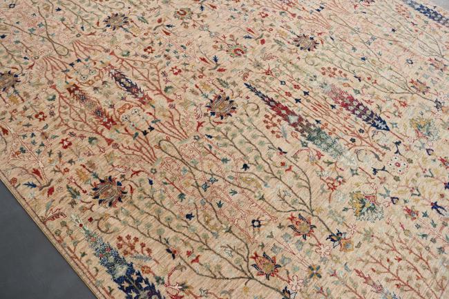 Arijana Hajjalili - 5