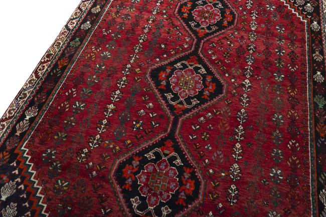Shiraz - 4